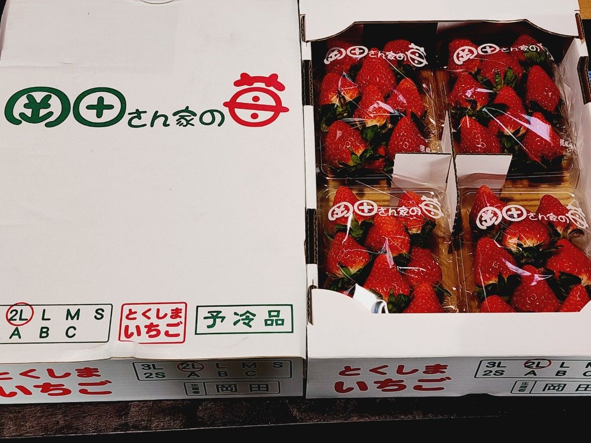 １箱　4パック入り箱入り　300g×4パック1.2kg【岡田さん家いちご】さがほのか　イチゴです お家用 誕生日プレゼント お祝い