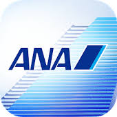 ANA 24000マイル 2日程度で加算 クレカOK マイレージ マイル数指定可 全日空 _画像1