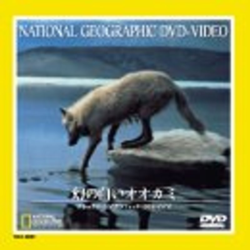 ナショナル・ジオグラフィック 幻の白いオオカミ DVD_画像1