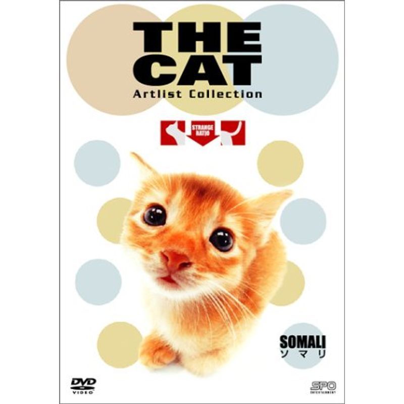 THE CAT ~ソマリ~ DVD_画像1