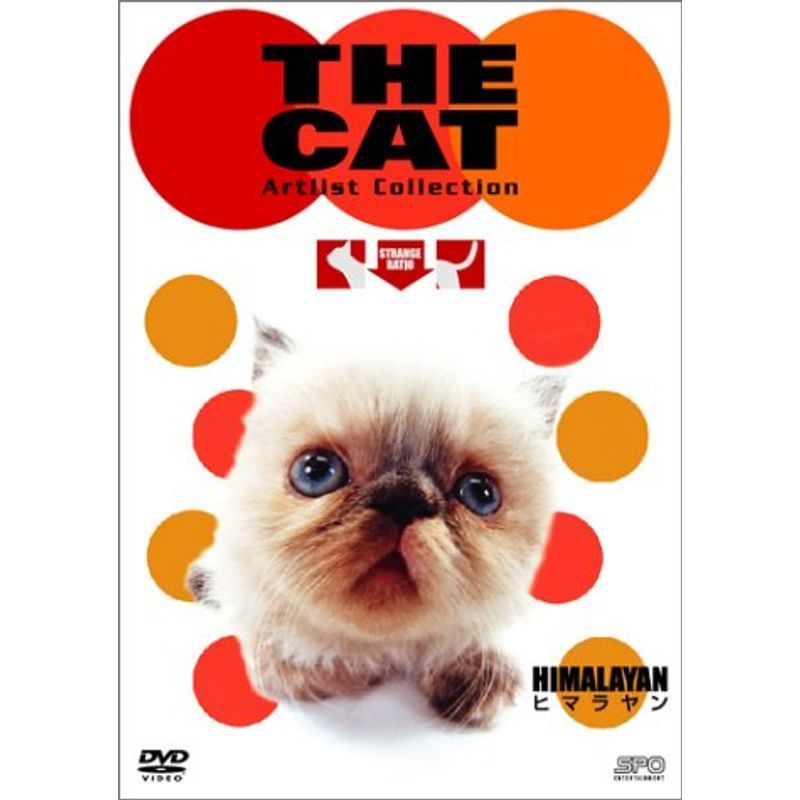 THE CAT ~ヒマラヤン~ DVD_画像1