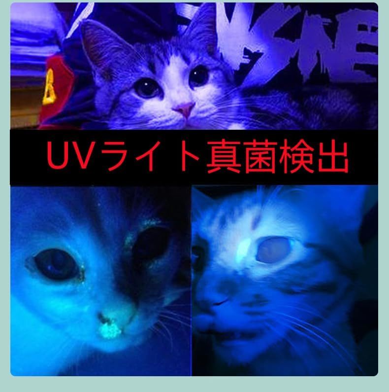 2本　猫 おもちゃ 猫用おもちゃ LEDライト 懐中電灯 人気 猫グッズ USB充電 7in1多機能 ライト 光るおもちゃ 電動 遊び用品 ストレス解消 _画像3