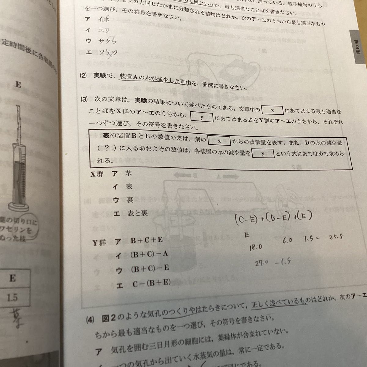 入試対策模擬テスト集（Ｖ模擬過去問）臨海セミナー　国語/数学/社会/理科/英語　千葉県立公立入試受験者必見！