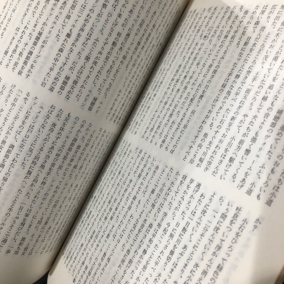 ne84 mistake teli magazine 1976 year 6 month number . river bookstore Showa era 51 year novel literary art thought history economics essay genuine article language 