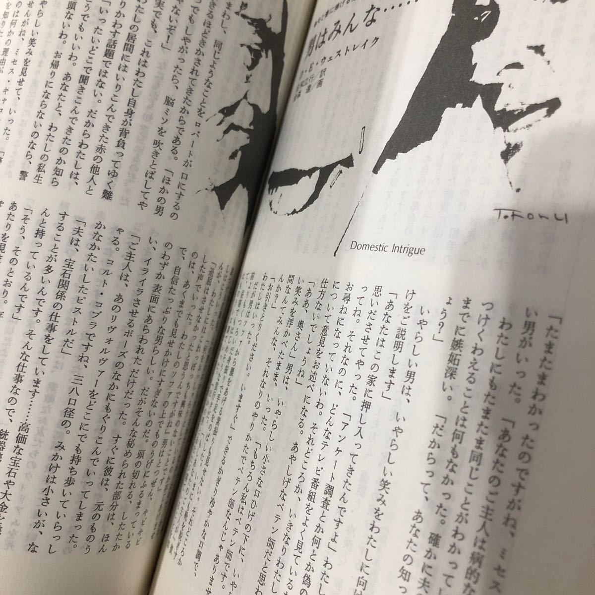 ne86 mistake teli magazine 1977 year 3 month number . river bookstore Showa era 52 year novel literary art thought history economics essay genuine article language 