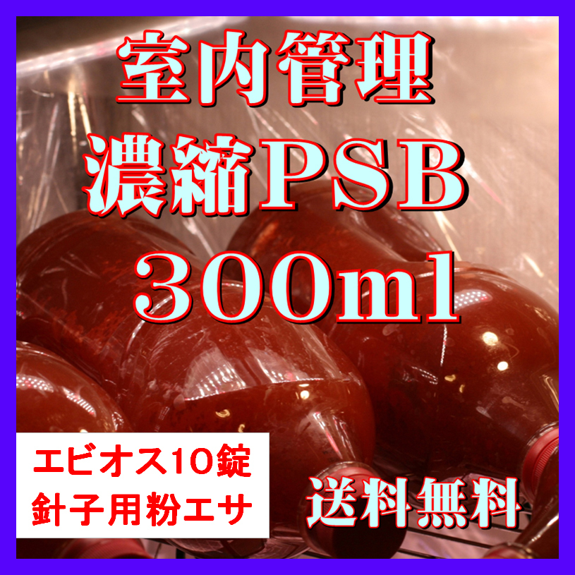 ★送料無料★ 室内管理濃縮培養PSB300ml＋エビオス10錠＋培養説明書＋針子用粉エサ　光合成細菌　水質調整、バクテリア_画像1