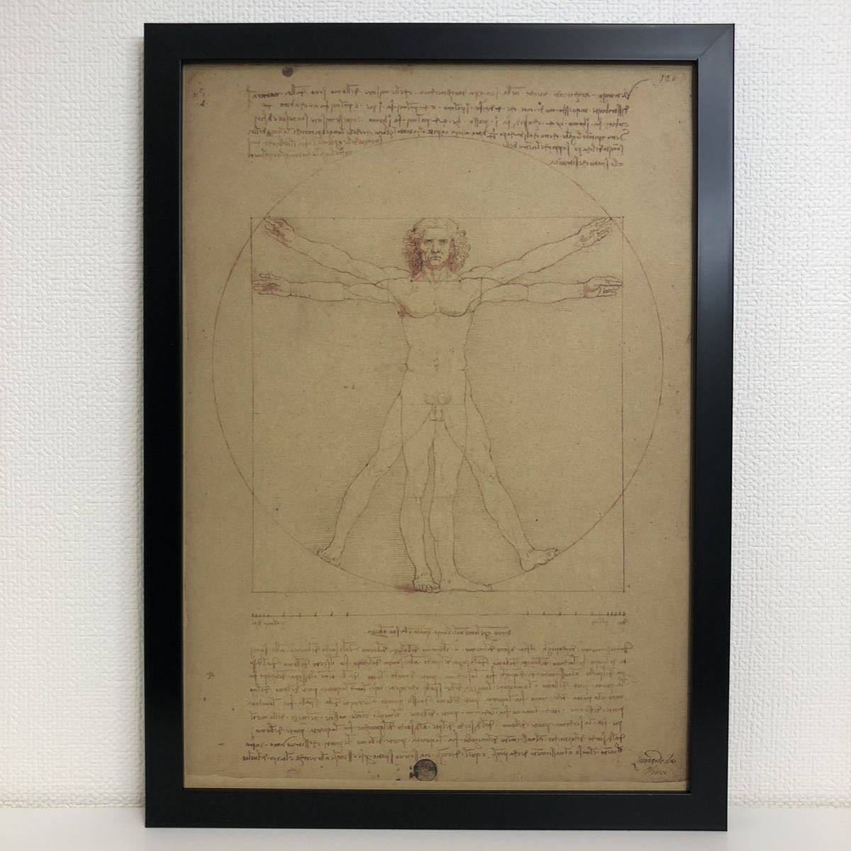 フレーム付き A4 レオナルド・ダヴィンチ ウィトルウィウス的人体図 ポスター_画像1