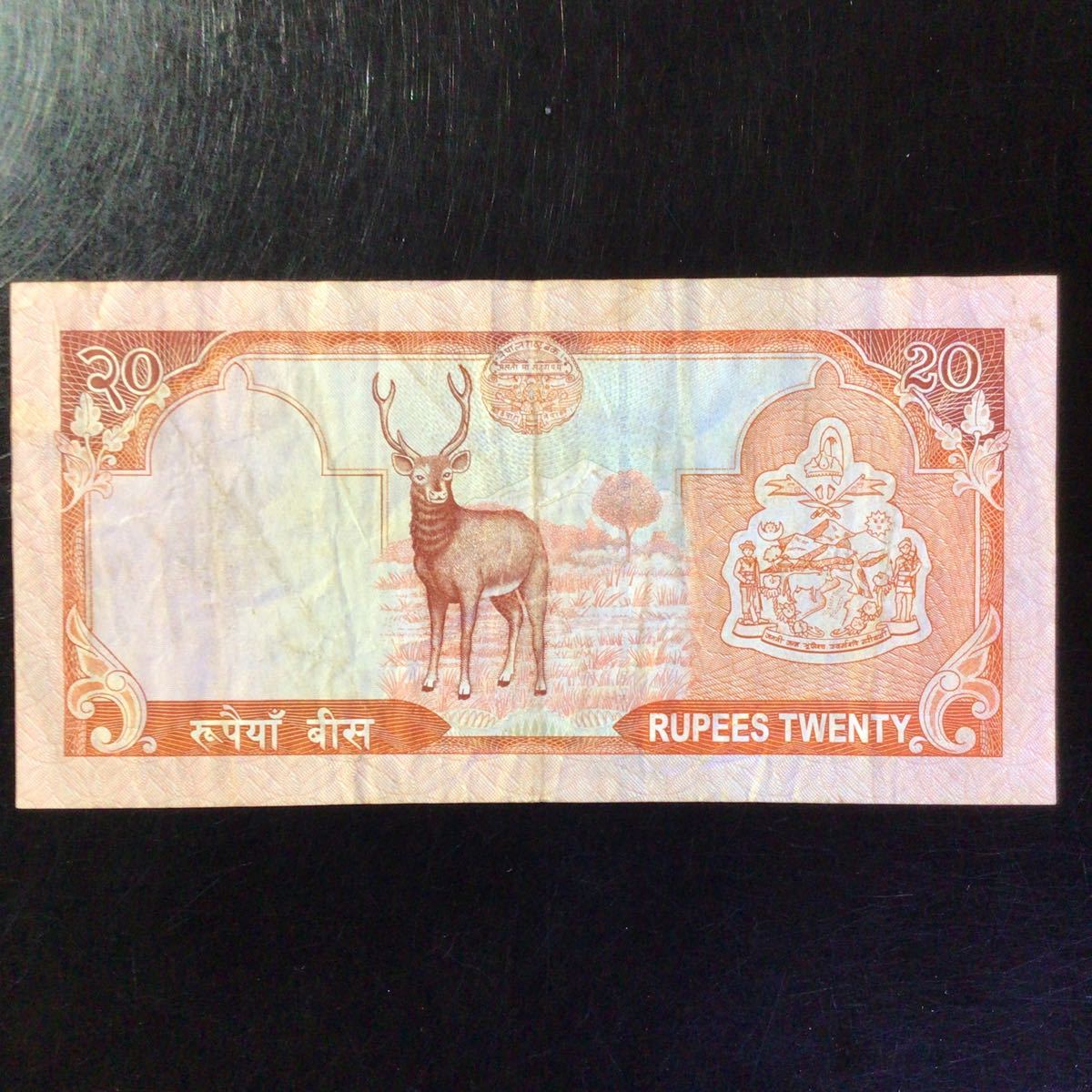 World Paper Money NEPAL 20 Rupees【2002】『King Gyanendra』_画像2