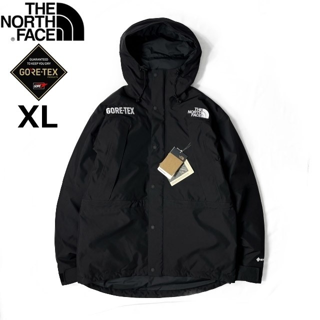 1円～!売切!【正規新品】THE NORTH FACE GORE-TEX MOUNTAIN GUIDE INSULATED JACKET ダウンジャケット ゴアテックス US(XL)黒 190122-350_画像1