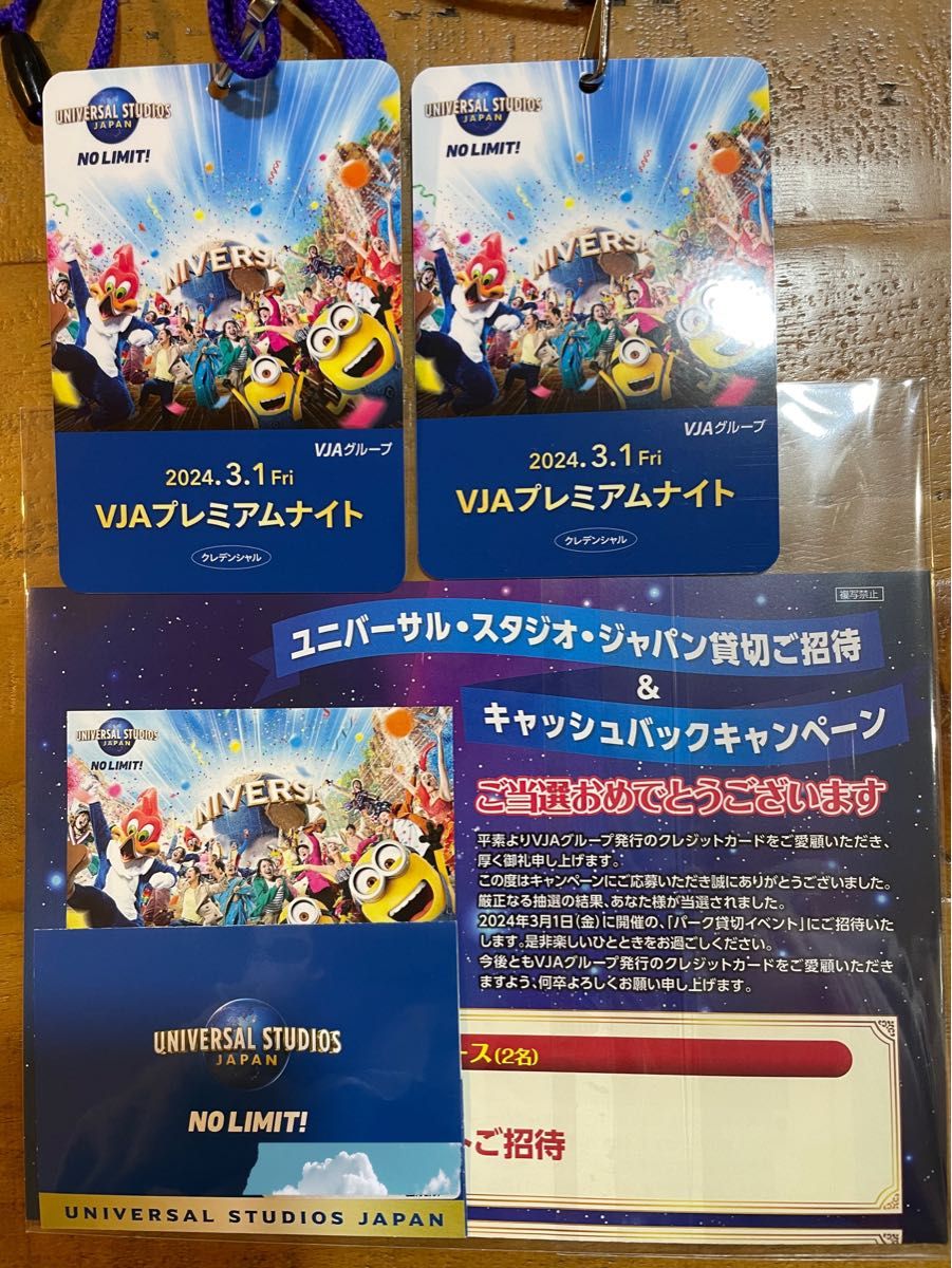 USJ ユニバーサルスタジオジャパン 貸切 3月1日 プレミアム USJ ユニバーサルスタジオジャパン 貸切 3月1日 プレミアム