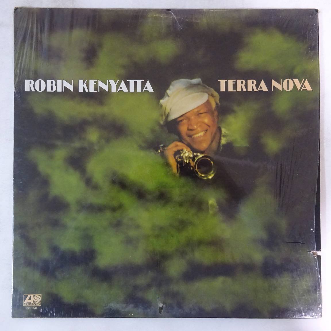 10019610;【USオリジナル/シュリンク/Atlantic】Robin Kenyatta / Terra Nova_画像1