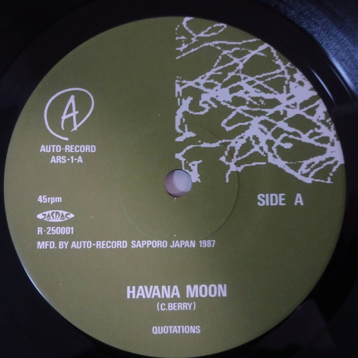 11177616;【国内盤/7inch】QUOTATIONS / HAVANA MOON / PATIENT_画像3