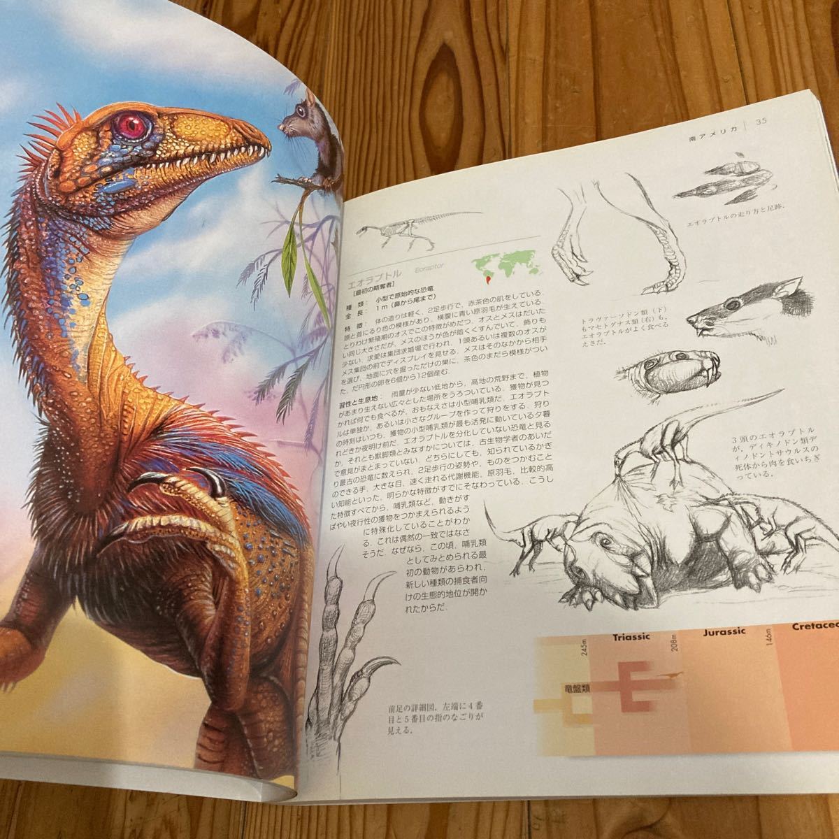 古本 即決 送料無料 経年 恐竜野外博物館 ヘンリージー ルイスV 古本 即決 送料無料 経年 恐竜野外博物館 ヘンリージー ルイスV