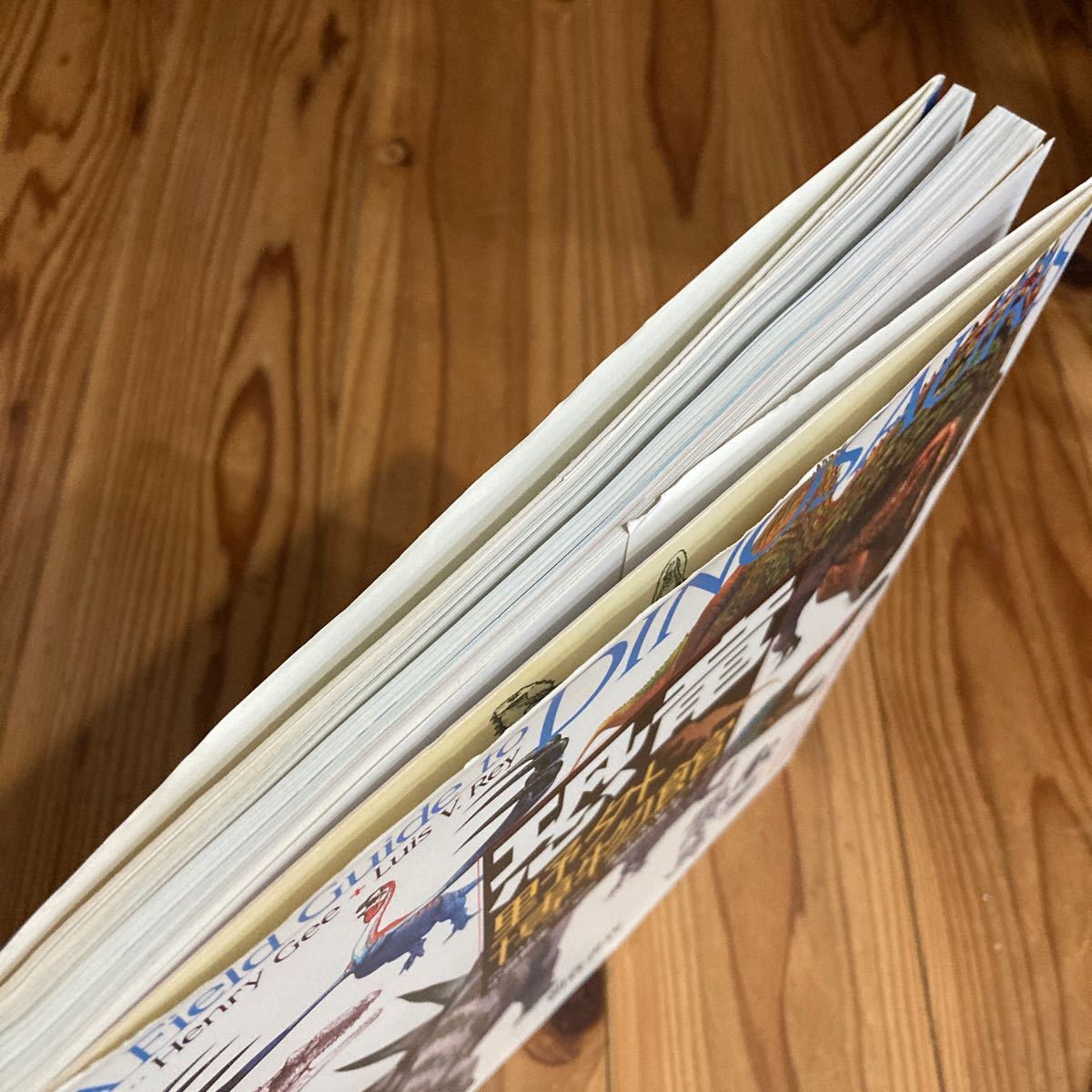 古本 即決 送料無料 経年 恐竜野外博物館 ヘンリージー ルイスV 古本 即決 送料無料 経年 恐竜野外博物館 ヘンリージー ルイスV