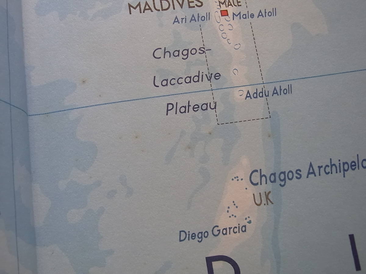Geckos of Madagascar, the Seychelles, Comoros and Mascarene Islands TERRALOG Volume 12 テラログ ヤモリ マダガスカル 洋書 図鑑 - 爬虫類、両生類 Geckos of Madagascar, the Seychelles, Comoros and Mascarene Islands TERRALOG Volume 12 テラログ ヤモリ マダガスカル 洋書 図鑑 - 爬虫類、両生類