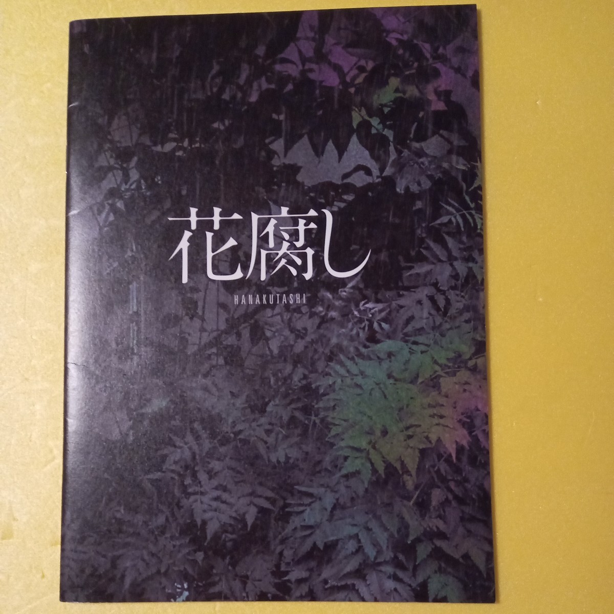 映画パンフレット　邦画　花腐し　綾野剛　柄本佑　美品_画像1