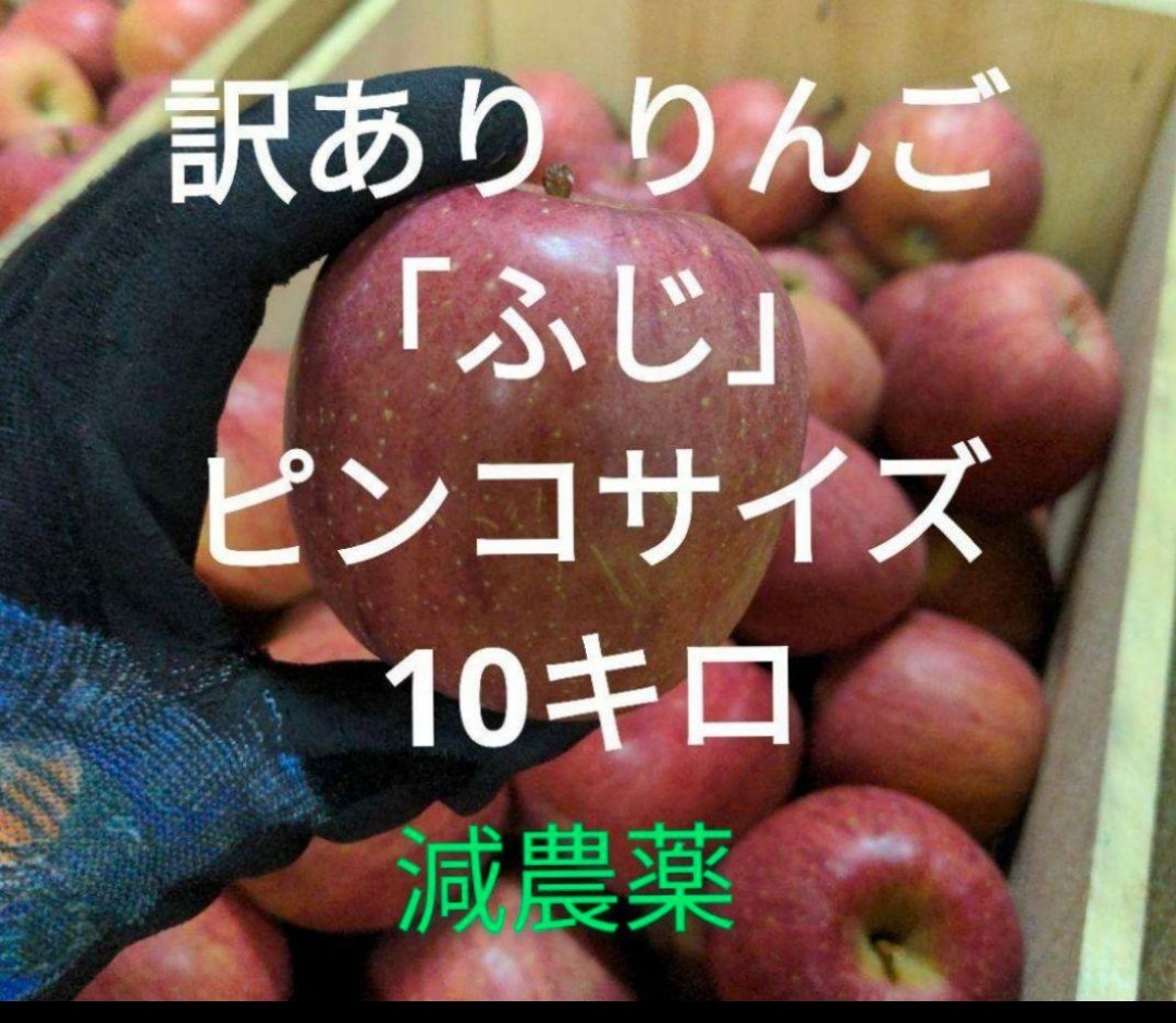 青森県産 減農薬 訳ありりんご ふじ ピンコサイズ 梱包込み約10キロ_画像1