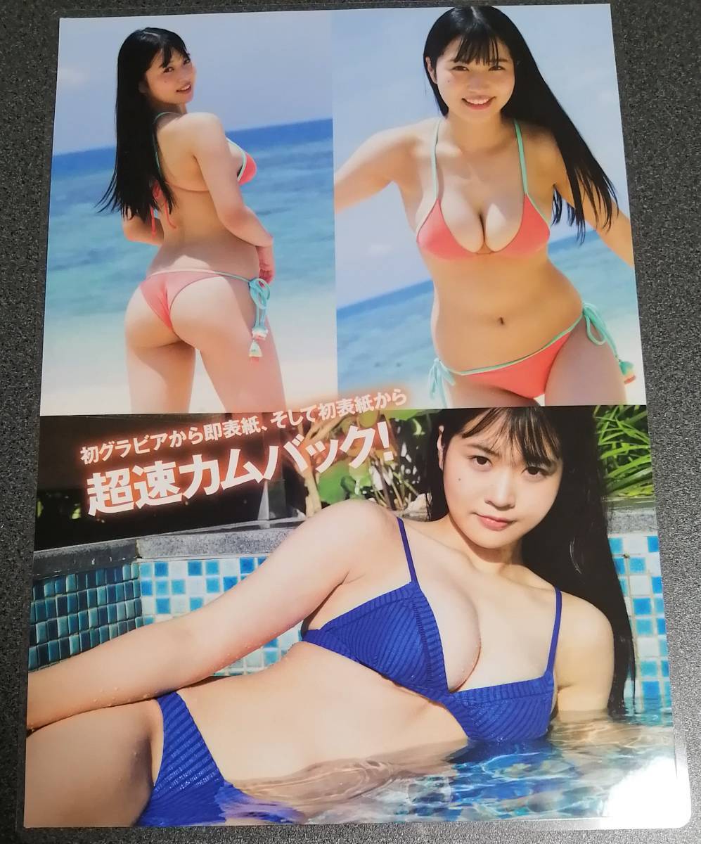 ラミネート　南みゆか　飯島未賀 切り抜き　水着グラビアアイドル　椿あい子_画像6