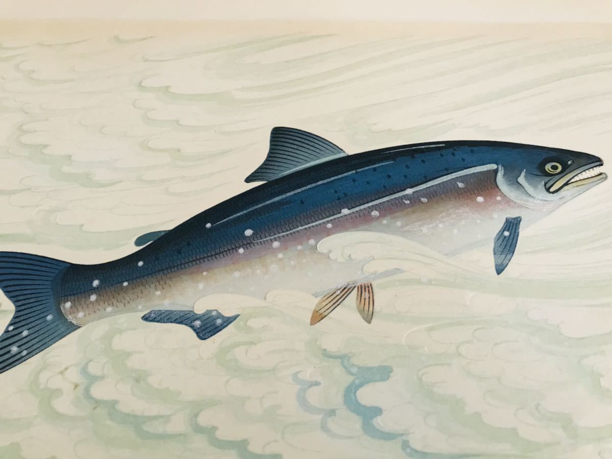 大野麦風 木版画 サケ 大日本魚類画集 おおのばくふう 現状品 大野麦風 木版画 サケ 大日本魚類画集 おおのばくふう 現状品