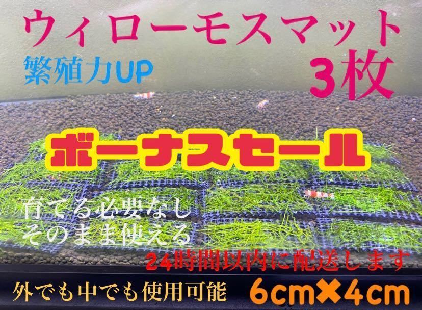 ウィローモス　ウィローモスマット　3枚セット　業者様もご愛用　すぐ使えます。　24時間以内に配送_画像1