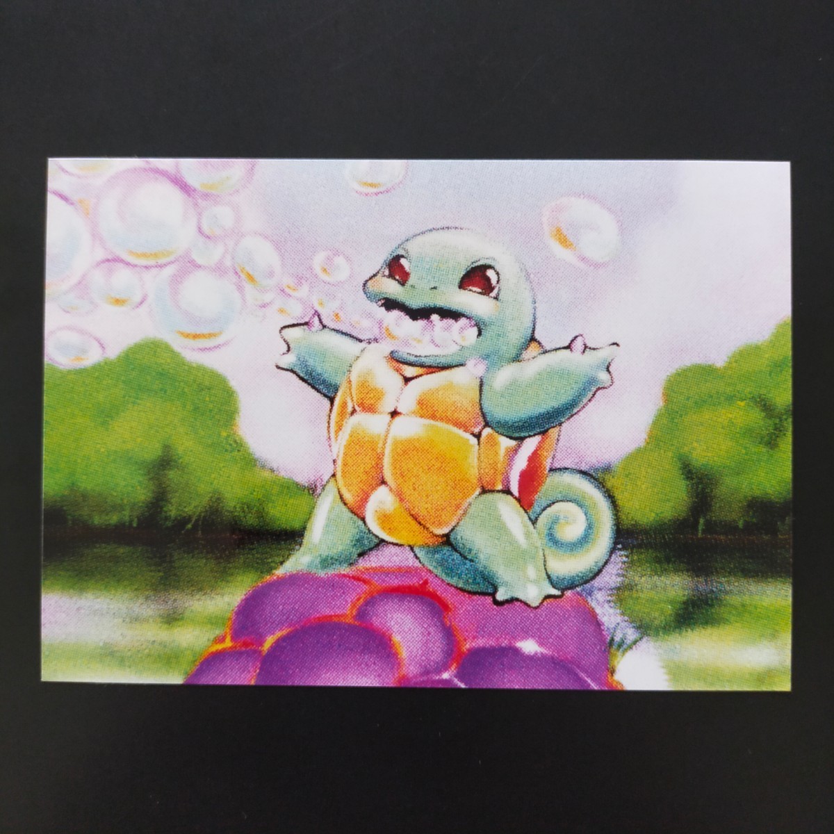 ポケモン 写真 FUJIFILM 富士フイルム FUJICOLOR ゼニガメ 初期 ポケモンカードゲーム イラスト 旧裏 カード 「あわ」