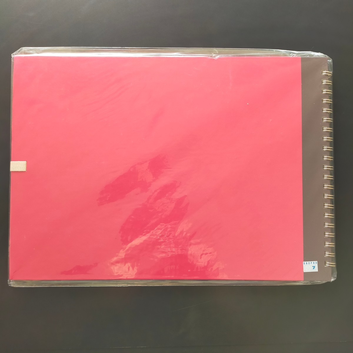 18938円 未開封 ポケモン カノンのスケッチブック 劇場版 水の都 18938円 未開封 ポケモン カノンのスケッチブック 劇場版 水の都