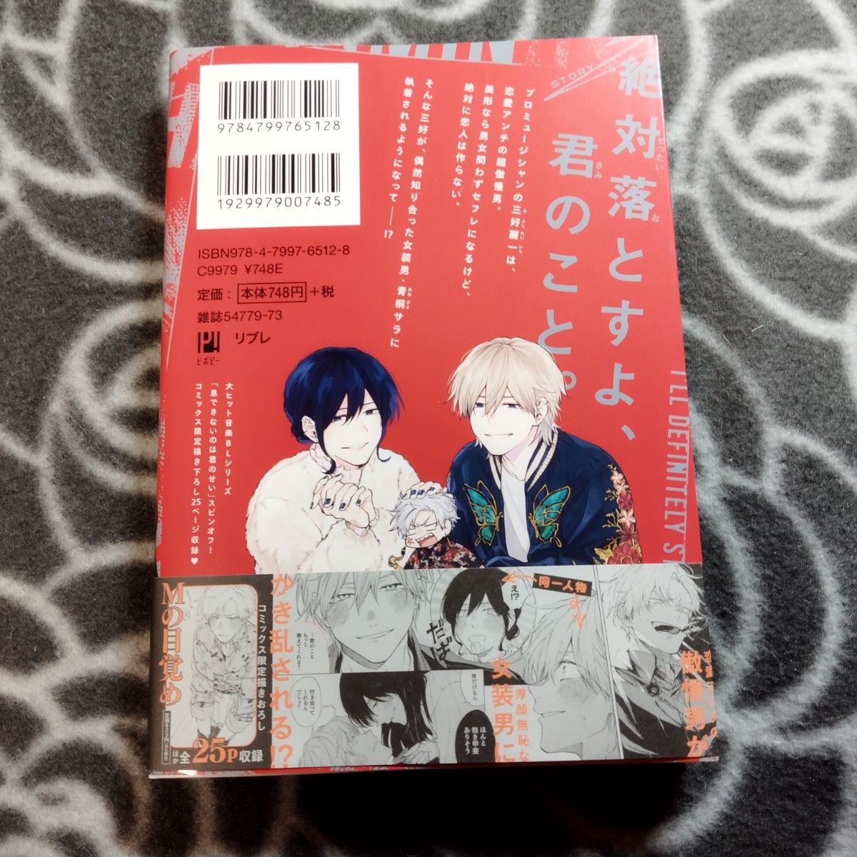 BLコミック 恋できないのは君のせい 【小冊子付き】