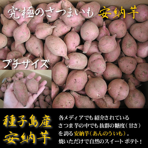 ワケアリ 種子島産安納芋3Sプチサイズ10キロ 農薬不使用 無化学肥料_画像1