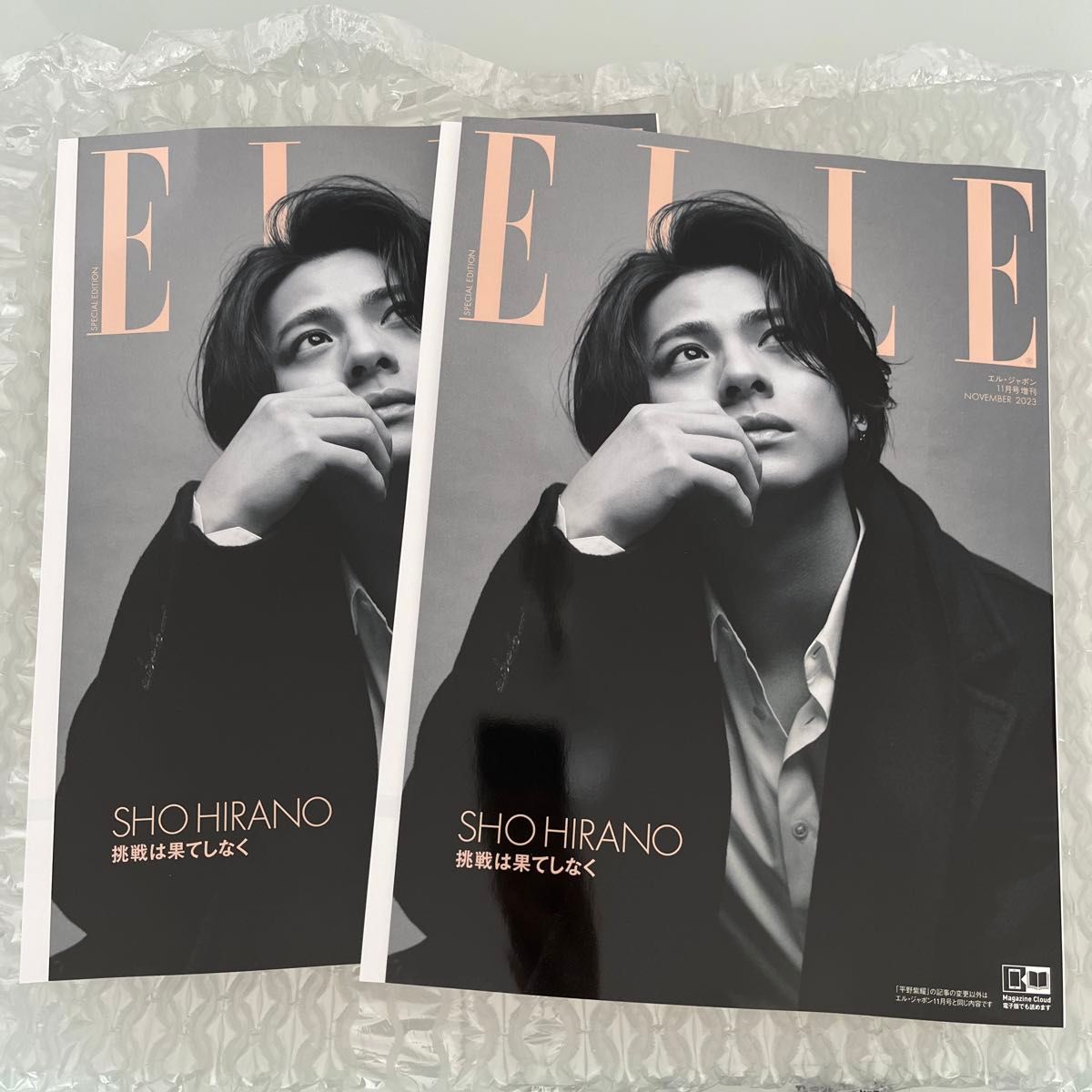 ELLE JAPON 11月号増刊 平野紫耀 特別版 2冊セット エル ELLE JAPON 11月号増刊 平野紫耀 特別版 2冊セット エル