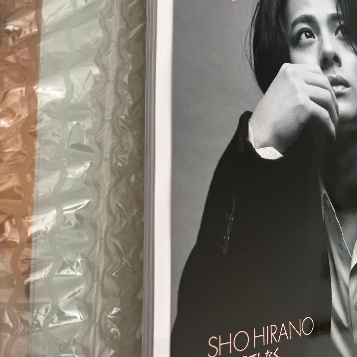 ELLE JAPON 11月号増刊 平野紫耀 特別版 2冊セット エル ELLE JAPON 11月号増刊 平野紫耀 特別版 2冊セット エル