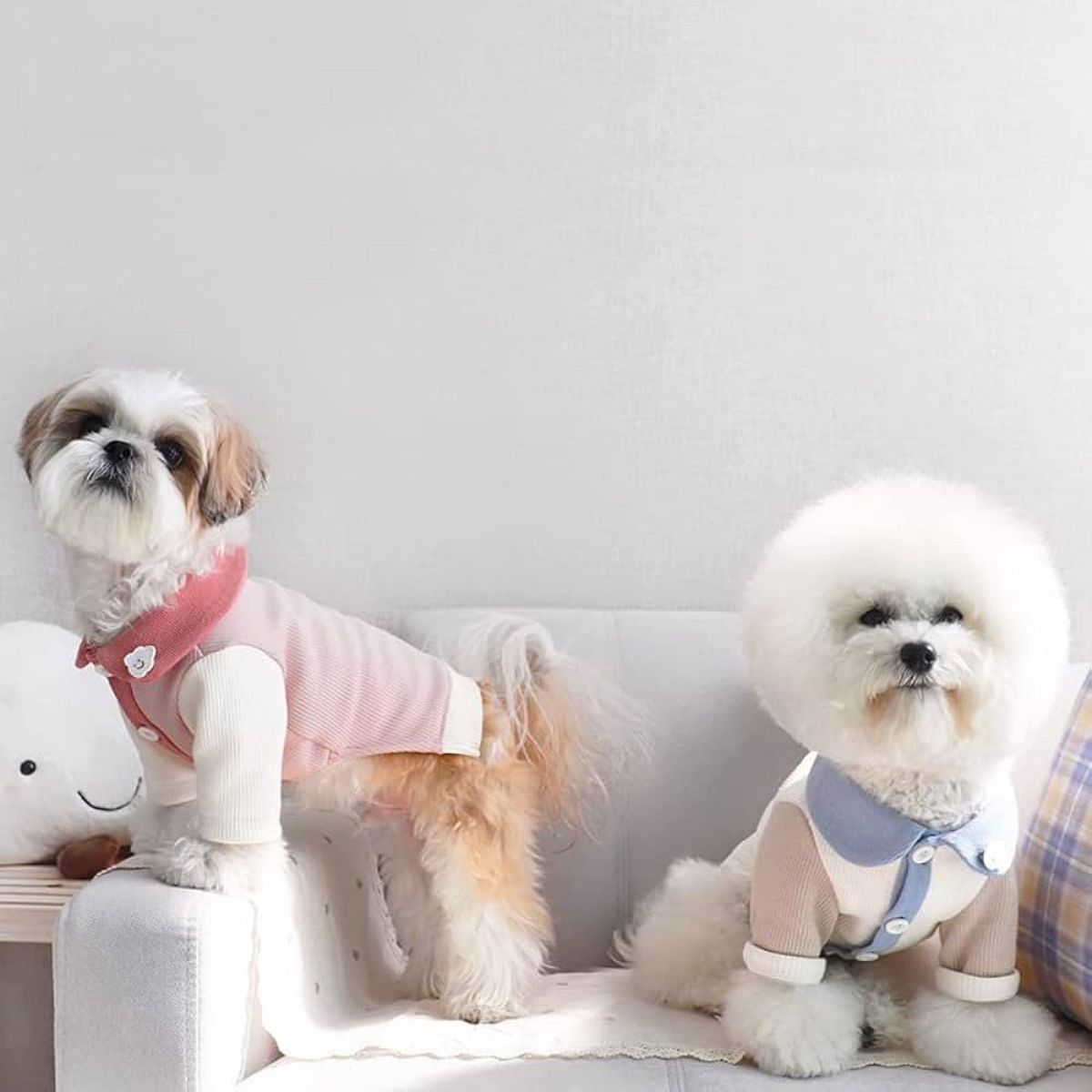 襟付き Tシャツ 韓国INS 犬服 猫服 犬の服 暖かい 小型犬用 Mサイズ