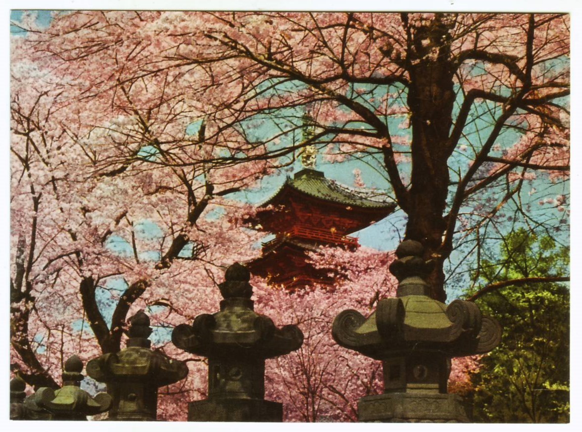 東京 上野 寛永寺の五重塔 桜 上野東照宮の石灯篭 カラー_画像1