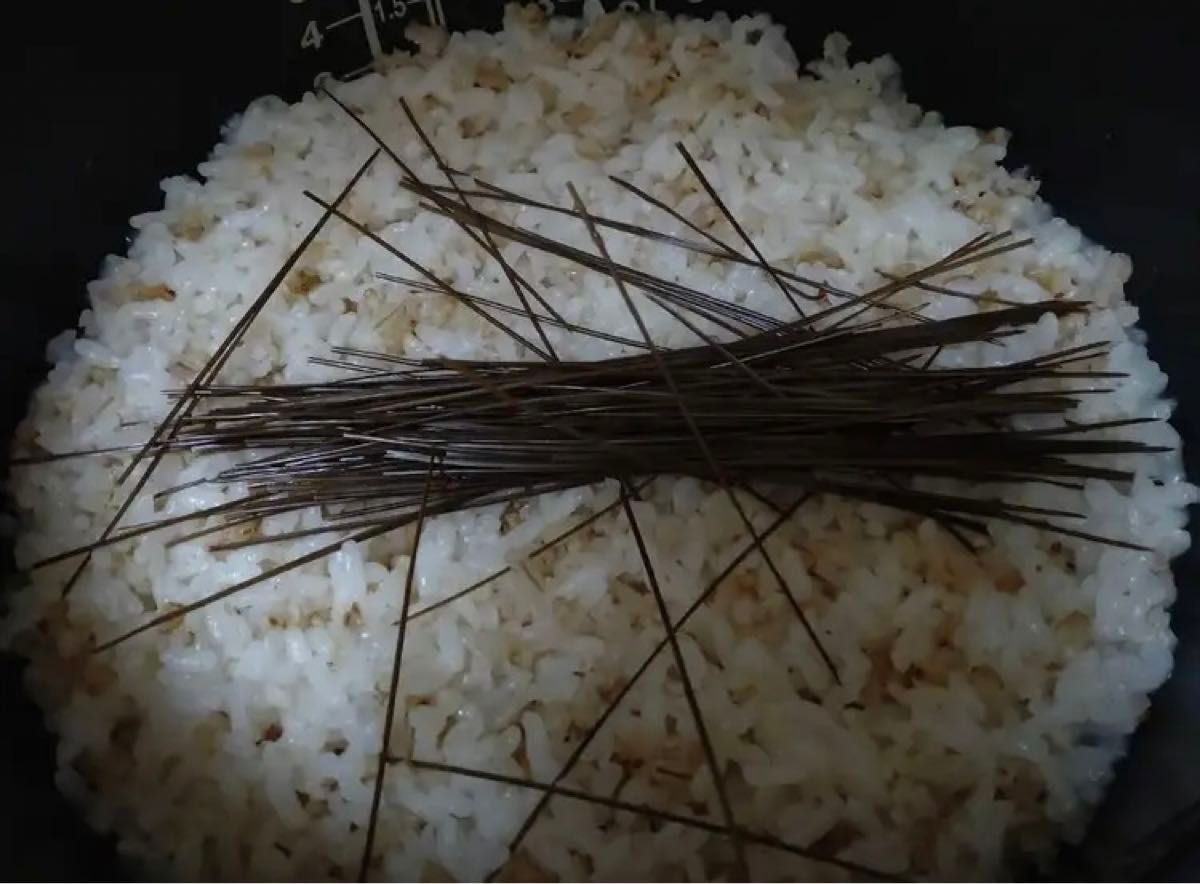 即購入可　即日発送　岡山県　黒松　枝付き松葉　生葉　無農薬　松の葉