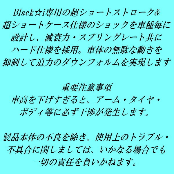 RSR Black-i 車高調 RR3エリシオン 2004/5～2012/5_画像2