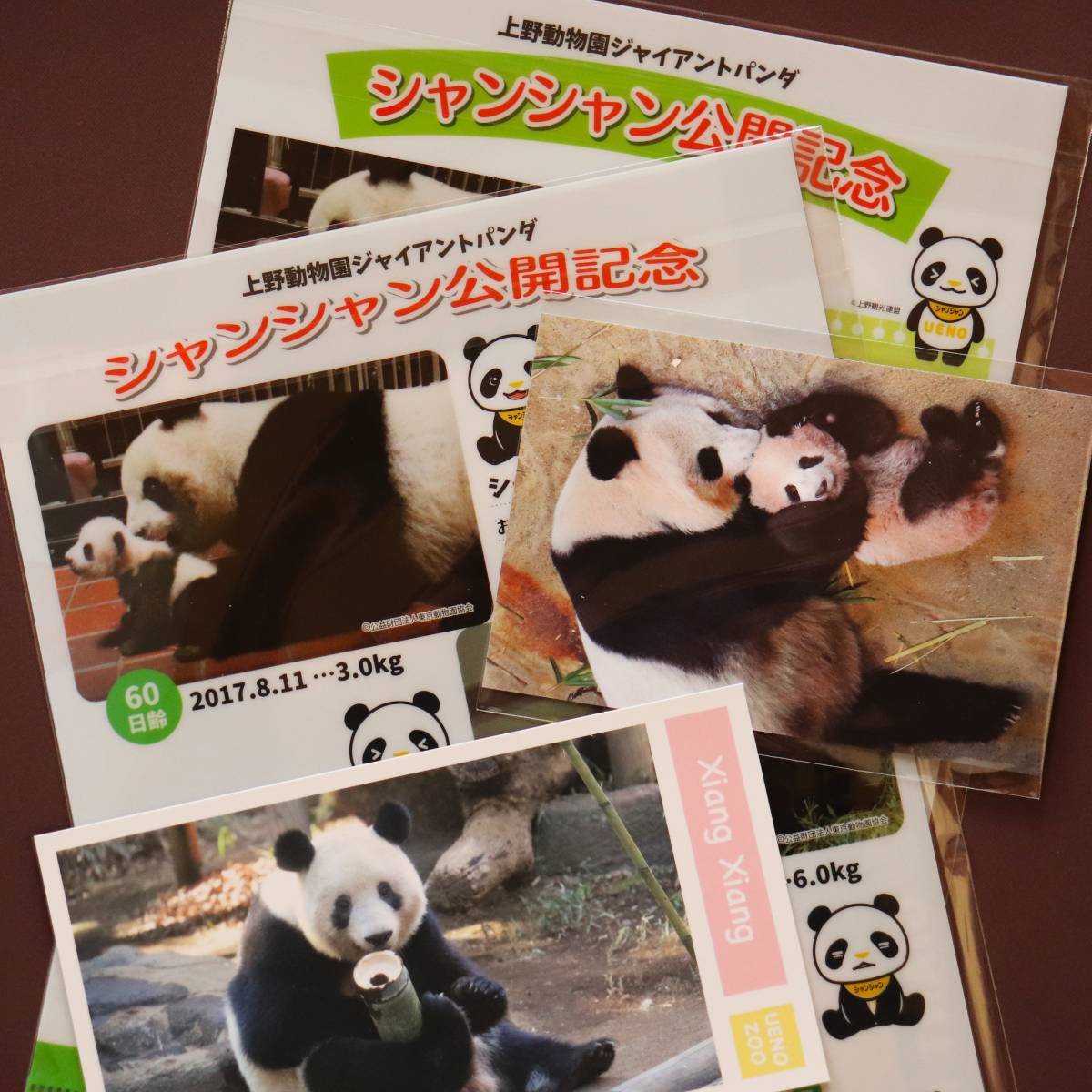 クーポン対象外】 上野動物園 マスクサイズカード ポストカード クリア
