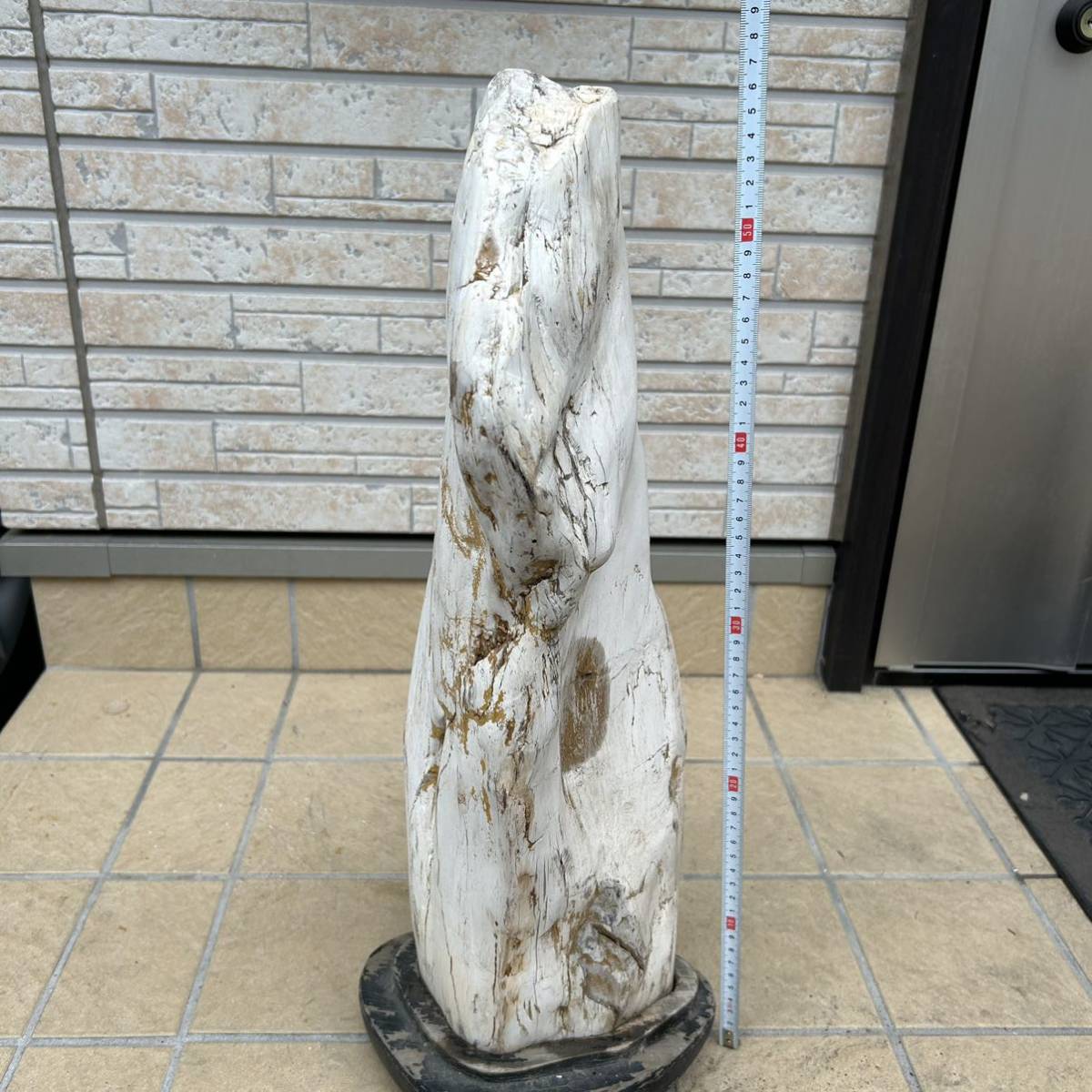 鑑賞石 観賞石 盆石 美石 珪化木？ 木化石？ 天然石 11kg 石 573の画像8