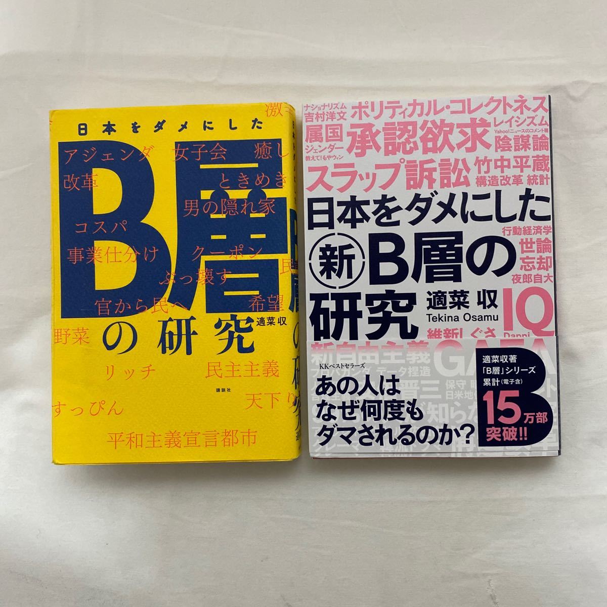 日本をダメにしたＢ層の研究・日本をダメにした新Ｂ層の研究 計2冊　古本　適菜収_画像1