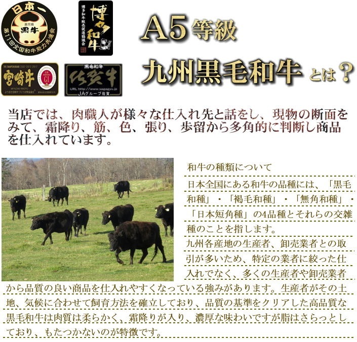 九州産黒毛和牛 日本品質の極み A5等級 約1kg前後 サーロインブロック 量り売り  の画像4