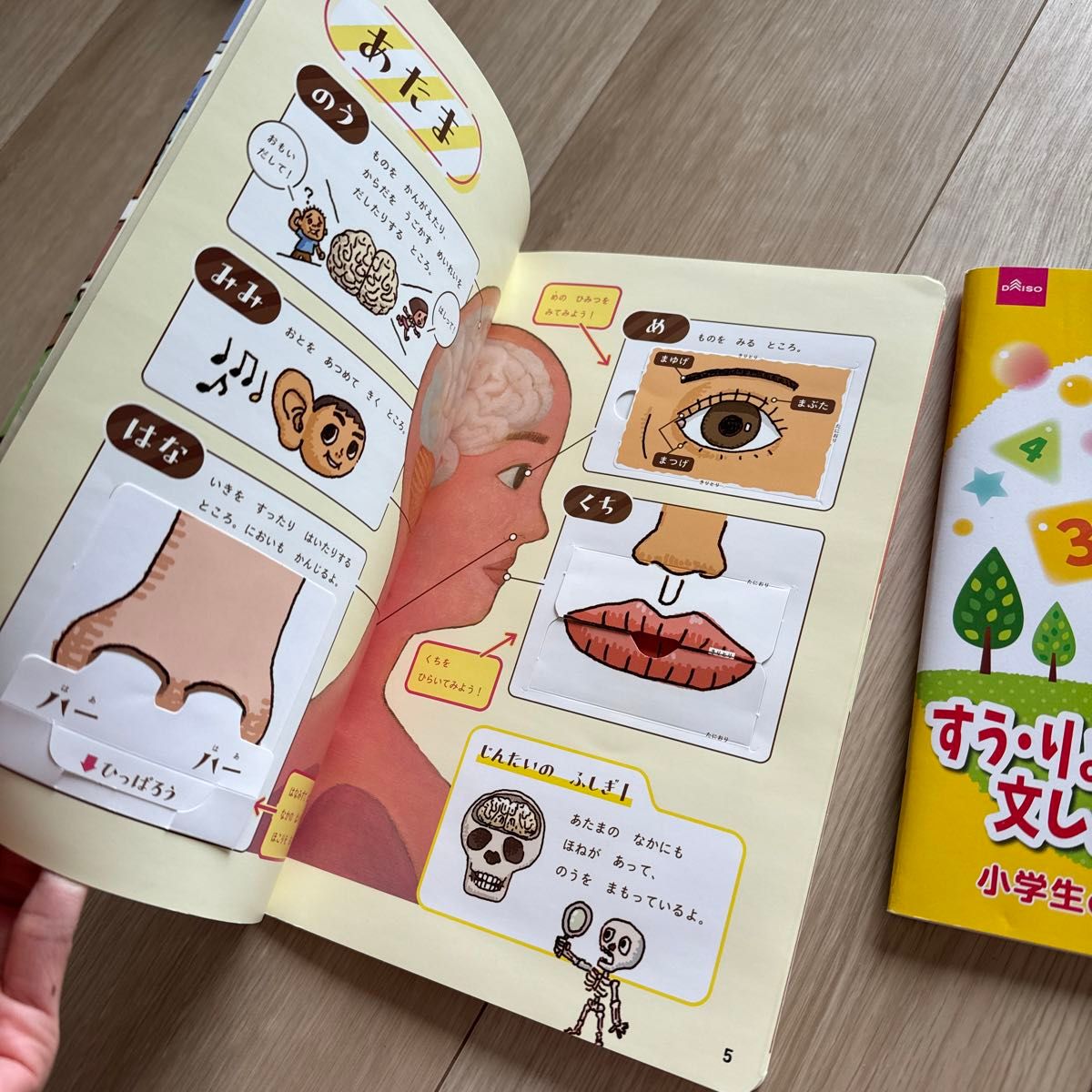 Benesse 子どもちゃれんじ別冊　からだのふしぎまるみえずかん＋　数学ドリル