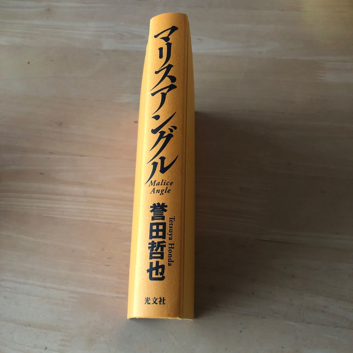 マリスアングル 誉田哲也 光文社 _画像5