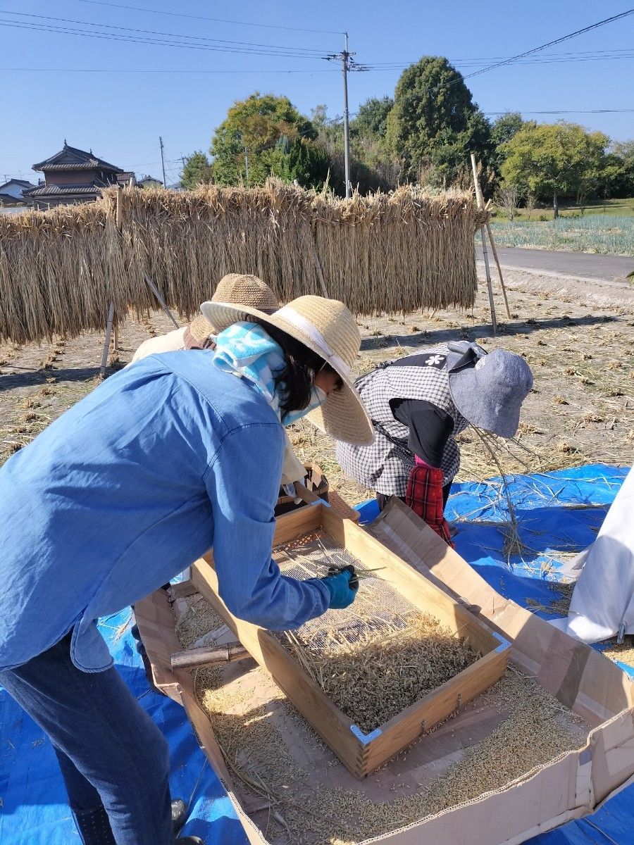 無肥料無農薬無除草剤の自然農法令和5年度産ハッピーヒル玄米1kg