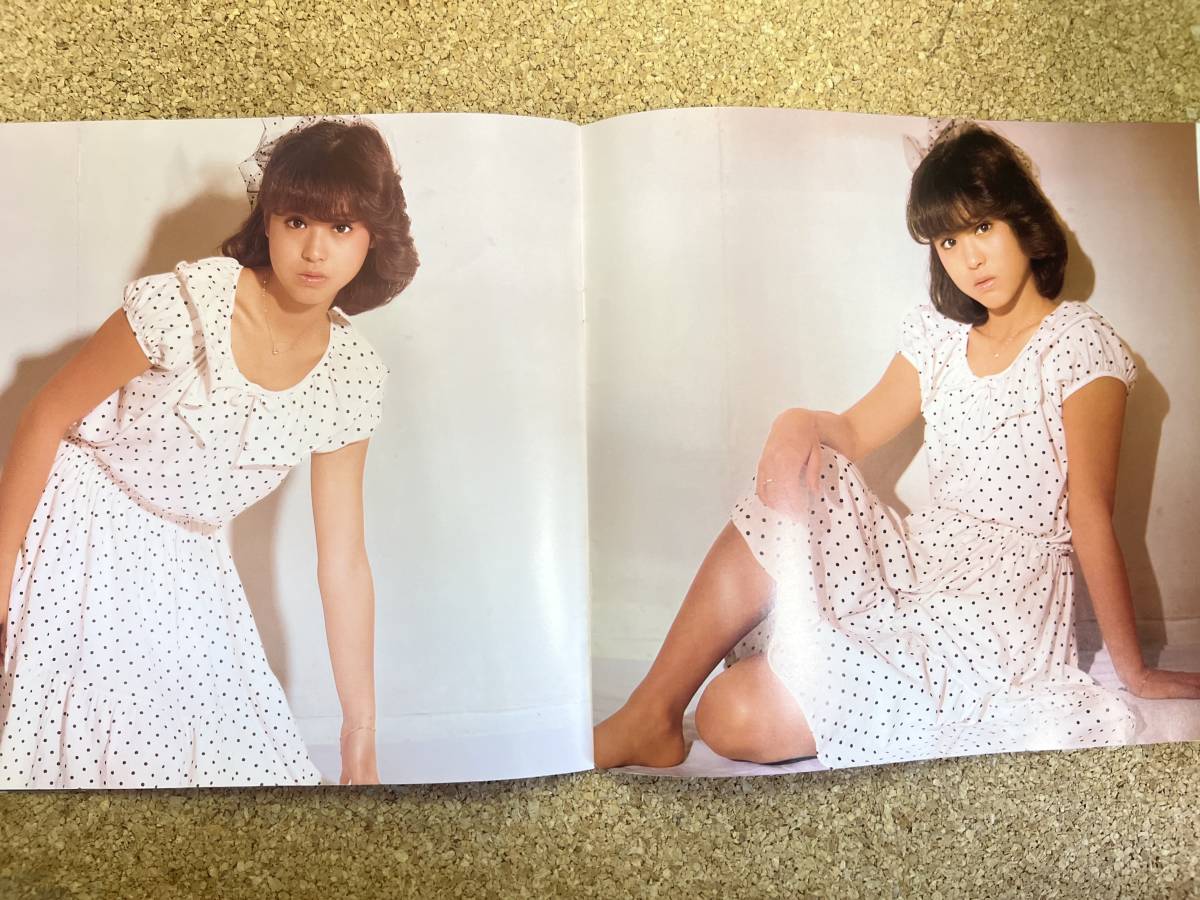 【送料無料】松田聖子 ツアー コンサート パンフレット 1989 写真集　_画像8