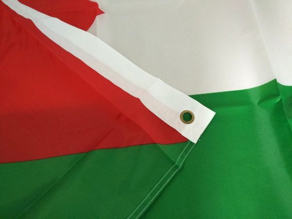 パレスチナ国旗 大型フラッグ 4号 150cmX90cm 未使用の画像6