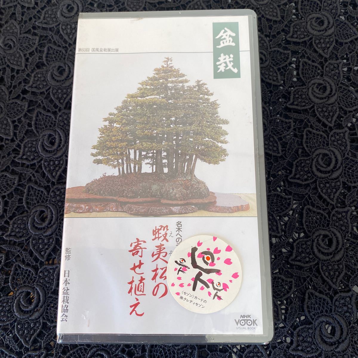 盆栽　名木へのテクニック　蝦夷松の寄せ植え　VHSビデオ_画像1