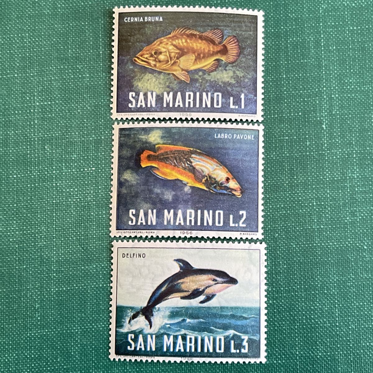サンマリノ共和国 魚 海の生き物 海洋生物 切手 【未使用】