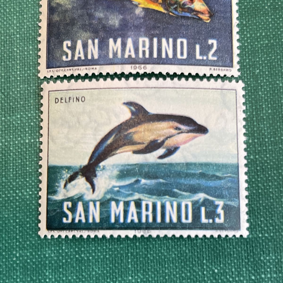 サンマリノ共和国 魚 海の生き物 海洋生物 切手 【未使用】