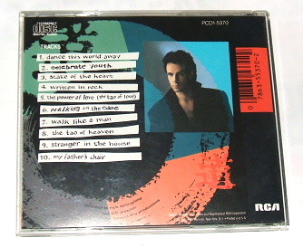 RICK SPRINGFIELD /tao (PCD1-5370)~リック・スプリングフィールド TAO(道）celebrate youth state of the heart収録 80's_画像2