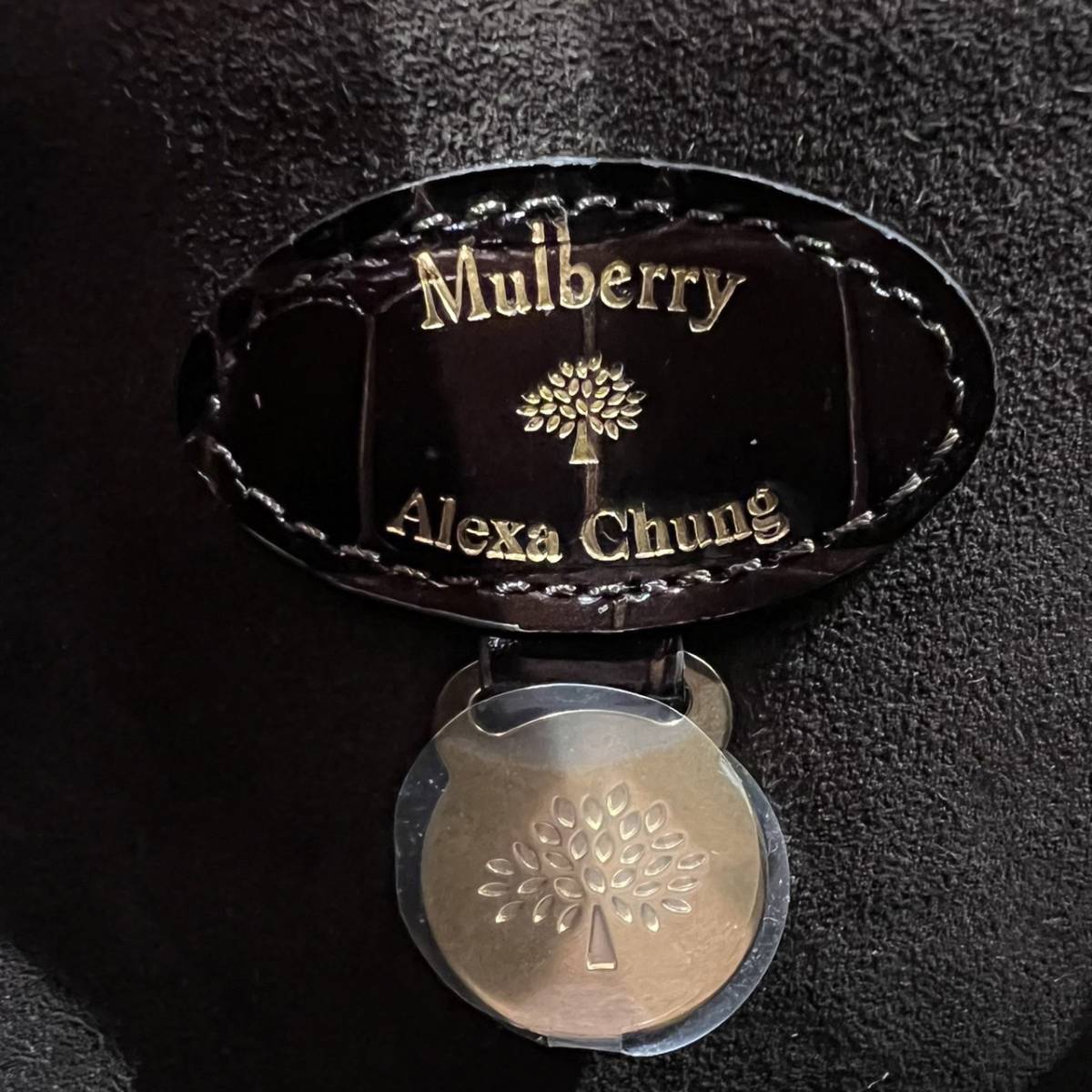 【ND655a】【定価16万5000円】限定品 Mulberry x Alexa Chung Big Guy（マルベリーxアレクサ チャン ビッグ ガイ）シャイニークロコレザー_画像10