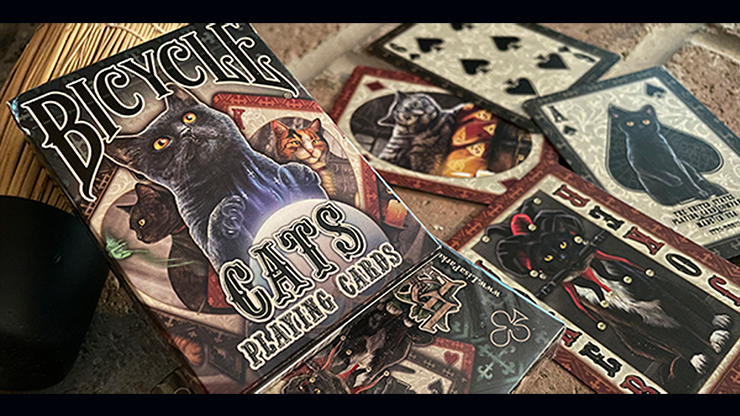 即決■Bicycle Cats Playing Cards■バイシクル■_画像4