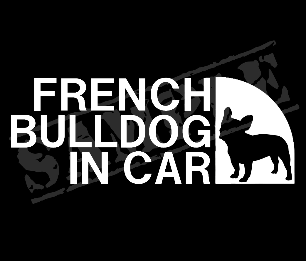 !! French bru dog IN CAR( width direction .)paroti sticker 6.5cm×17cm!!